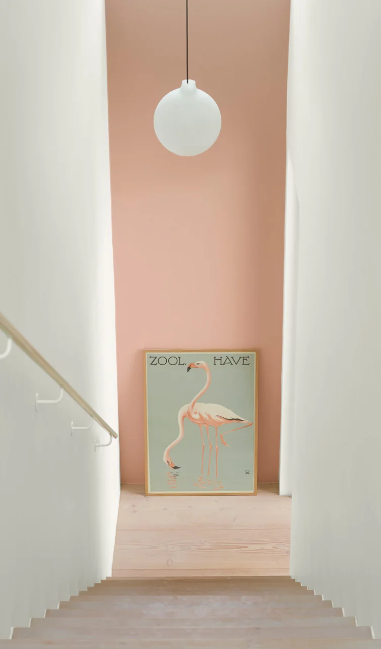 Lối đi với tường Delightful Pink và phần trần Skylight