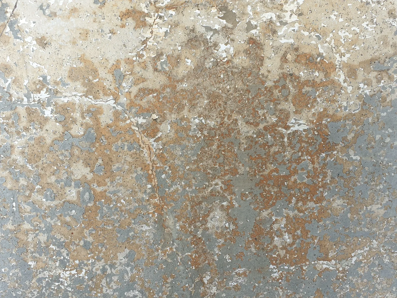 Tường bị ố muối trắng, kiềm hóa